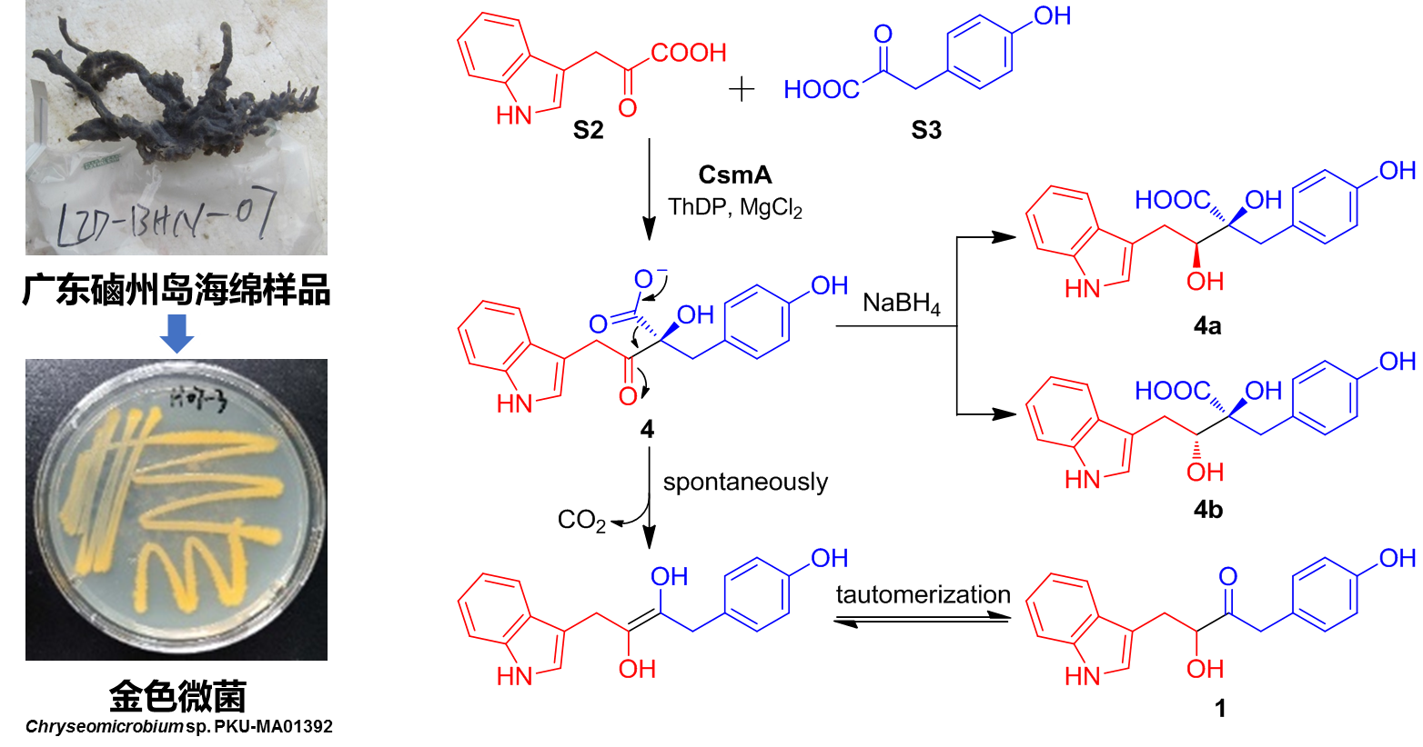 4f52f1fe214c41f4bb8b6b3f4783e58f.png
