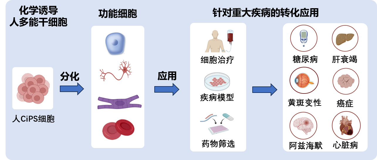 c94ea98ab59443a48662eec895dff5be.png