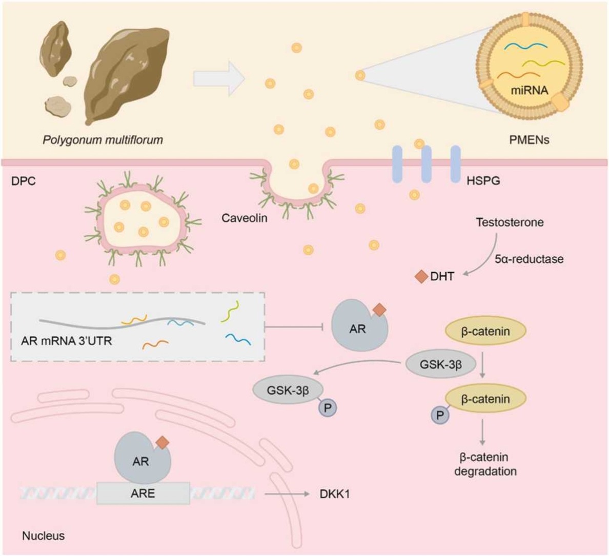 0529190238a243d99127fd02eb012a8f.jpg 0529190238a243d99127fd02eb012a8f.jpg