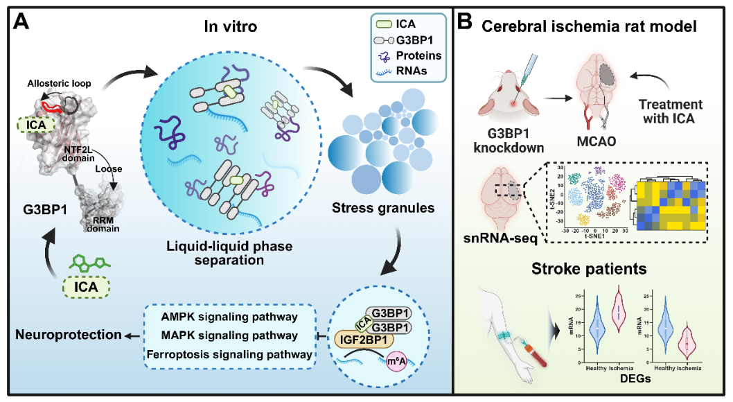 38a7ebc6afc24f50b1fab8e22fc8e8eb.png 38a7ebc6afc24f50b1fab8e22fc8e8eb.png
