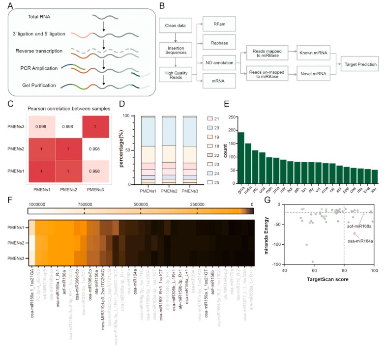 3997c575aac84800b4f2d52daddc2ae5.jpg 3997c575aac84800b4f2d52daddc2ae5.jpg