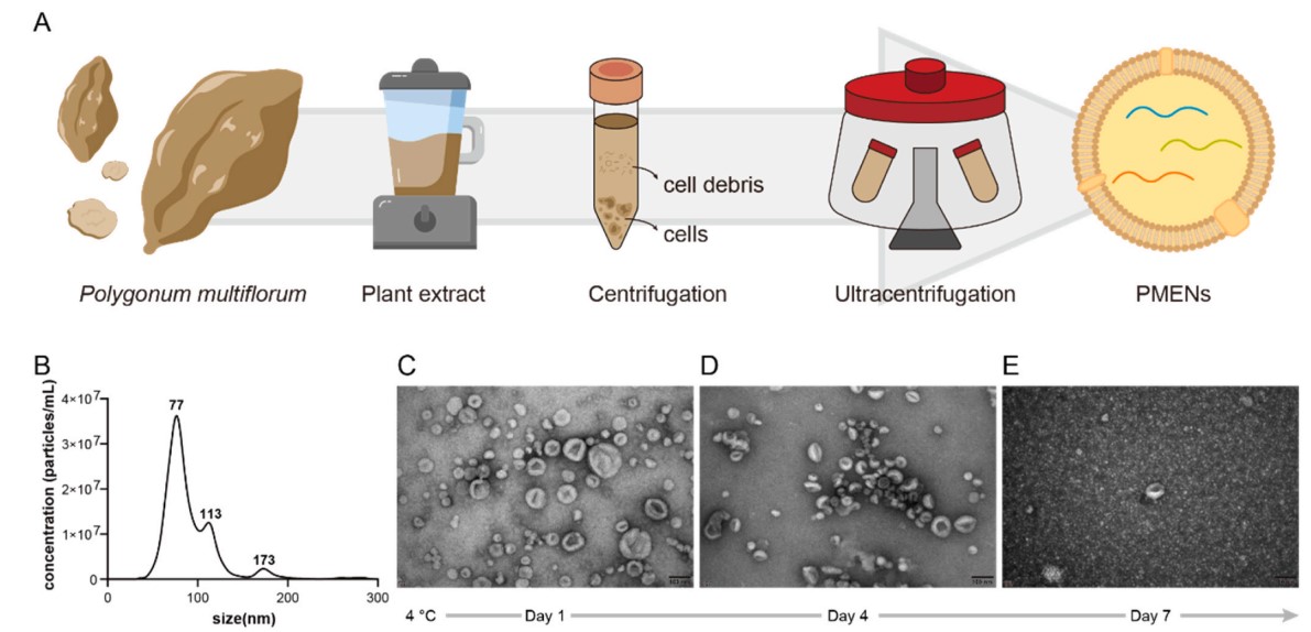 45638a1bf1f84625a222b60c85dc2295.jpg 45638a1bf1f84625a222b60c85dc2295.jpg