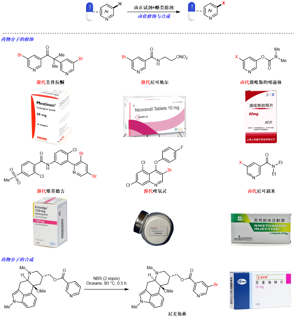 60b56847f66440489ff5404fdafe80ec.png 60b56847f66440489ff5404fdafe80ec.png