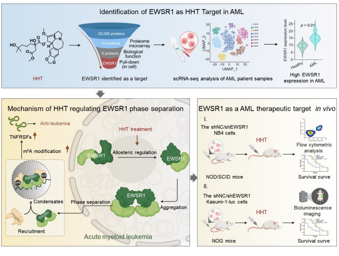 7282ad90c62646f99dde5959e7fb9de5.jpg 7282ad90c62646f99dde5959e7fb9de5.jpg