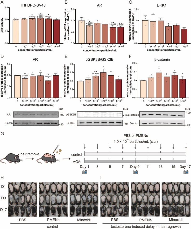 72954d73be824a4d9a2771f6d377f6a8.jpg 72954d73be824a4d9a2771f6d377f6a8.jpg