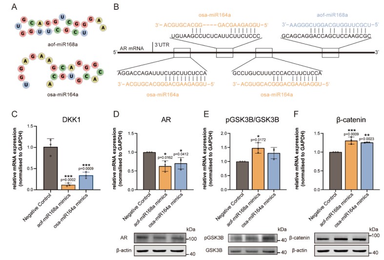 774a78bfd38a4521a6829b2dc9a013a3.jpg 774a78bfd38a4521a6829b2dc9a013a3.jpg