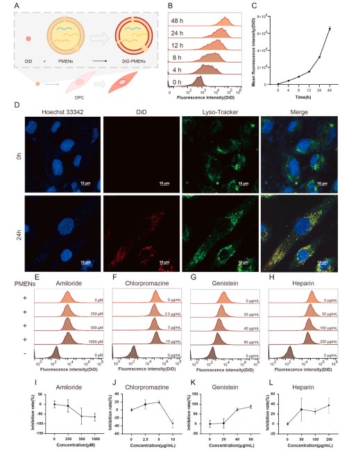 8e74736f2bef4ad68a580e98ce07623a.jpg 4.jpg