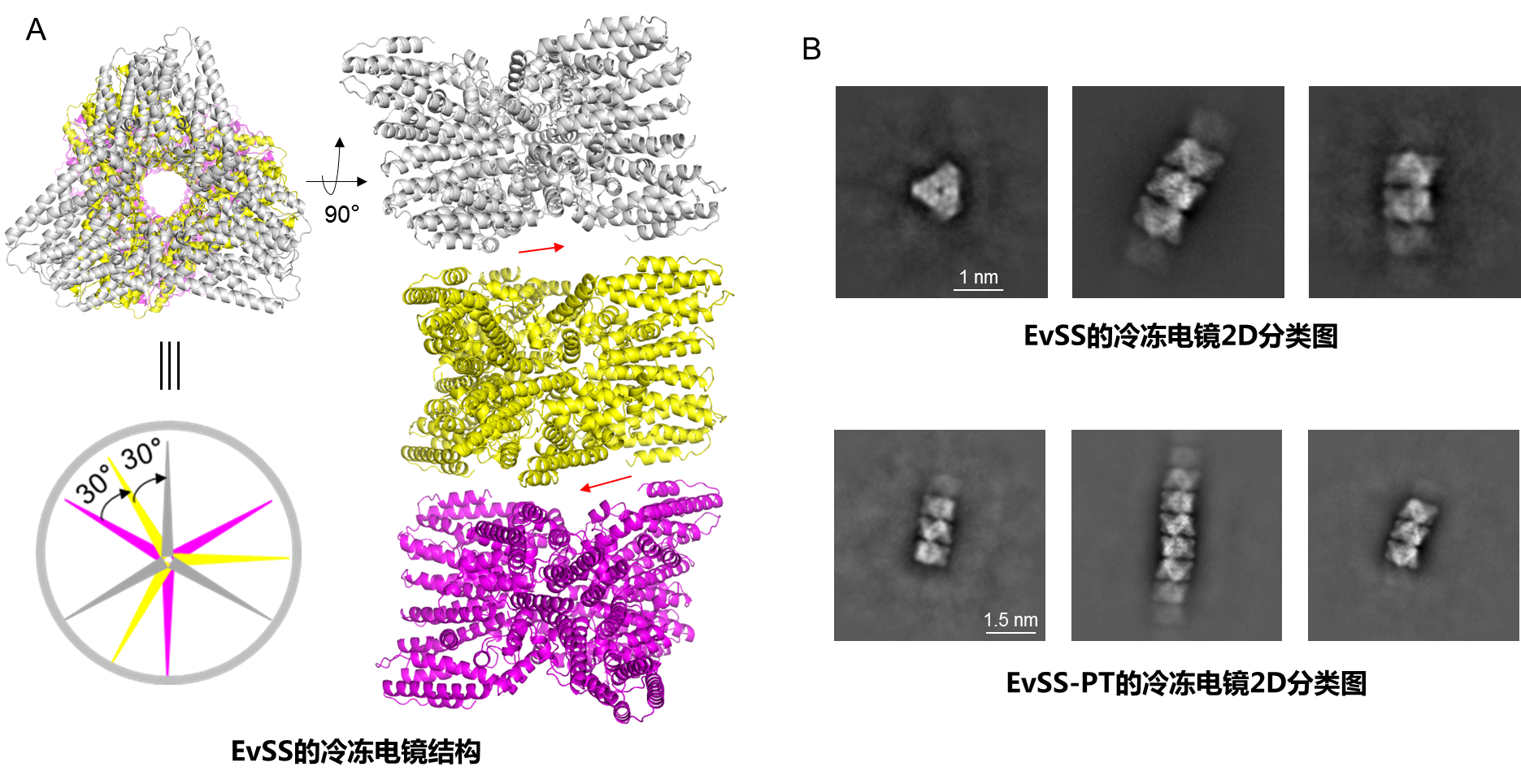 16ed8e3990954d9390fd14b256cb33ce.png 16ed8e3990954d9390fd14b256cb33ce.png