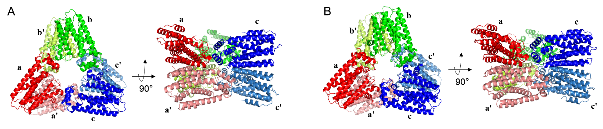 92b0274ba10d448896ceafadcee4da19.png 92b0274ba10d448896ceafadcee4da19.png