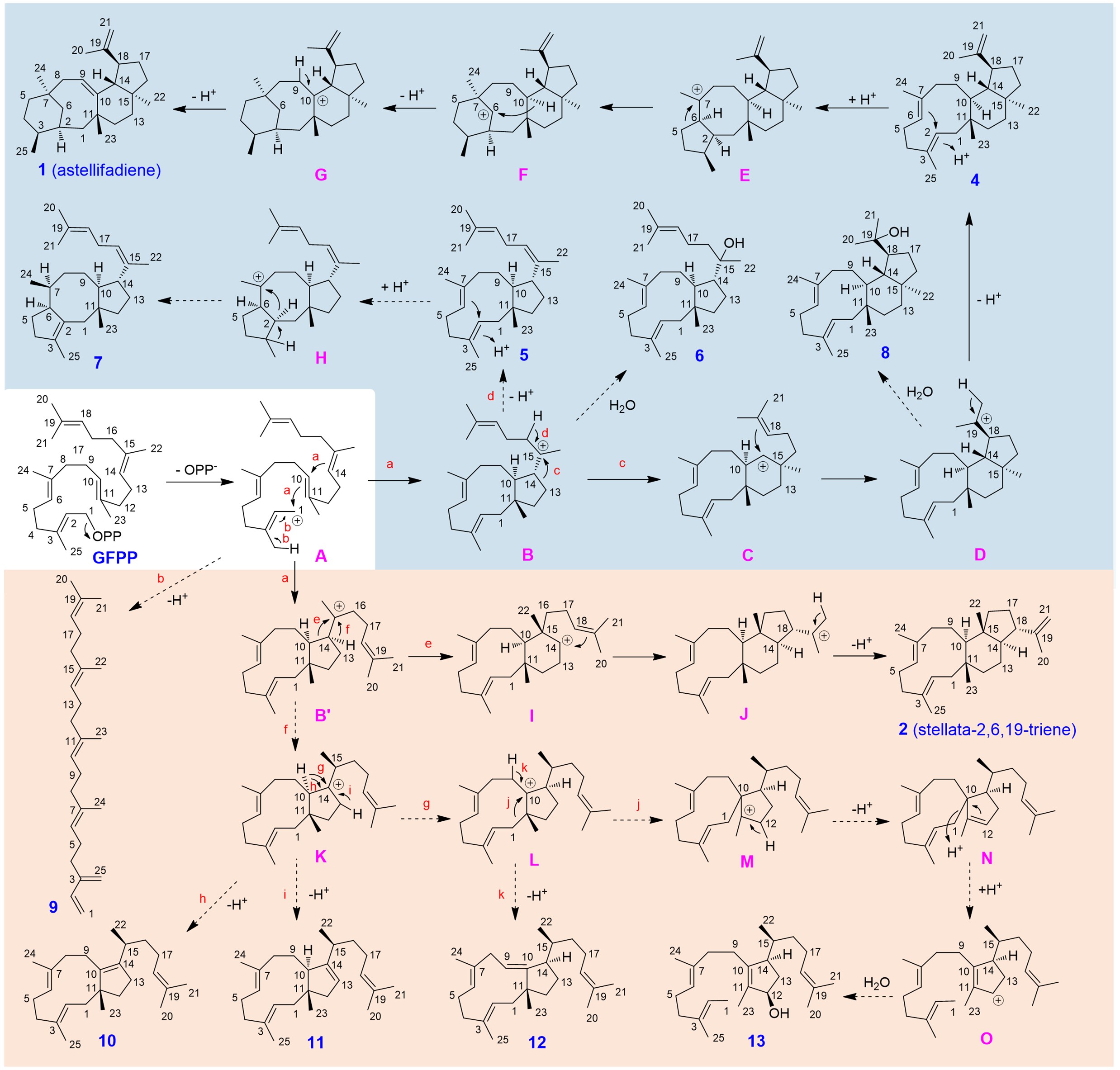 b13ddad2dd0f47bd8057be31c90189f8.jpg b13ddad2dd0f47bd8057be31c90189f8.jpg