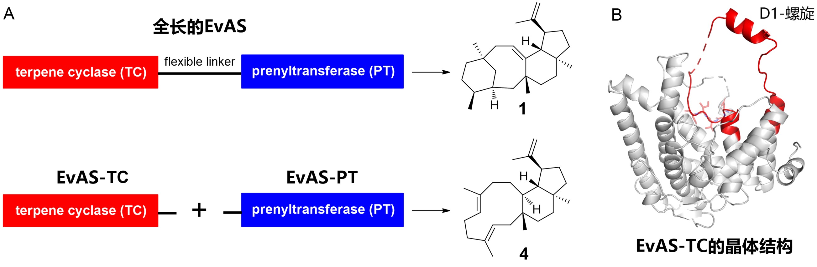 c64ed9770c9748659e54b677f2f1ea1d.jpg c64ed9770c9748659e54b677f2f1ea1d.jpg