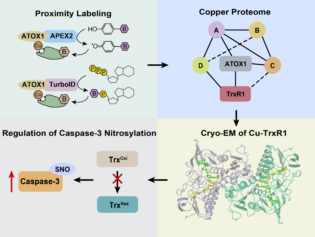 de271e465e1e44a8be0774ad064d4809.png de271e465e1e44a8be0774ad064d4809.png