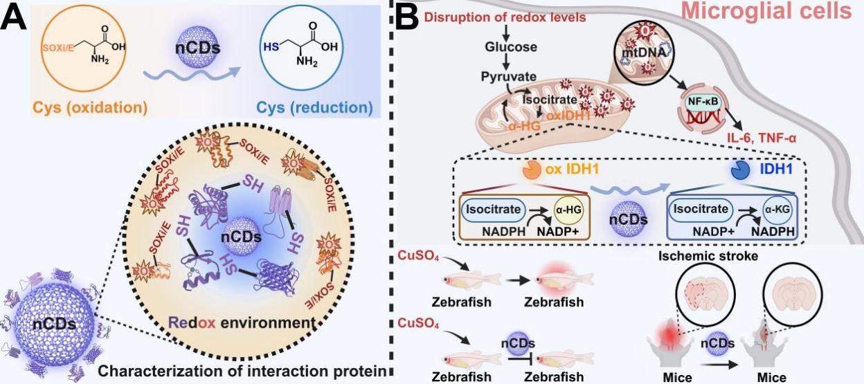4890407bf642470c8f3d511e04ff7333.jpg 4890407bf642470c8f3d511e04ff7333.jpg