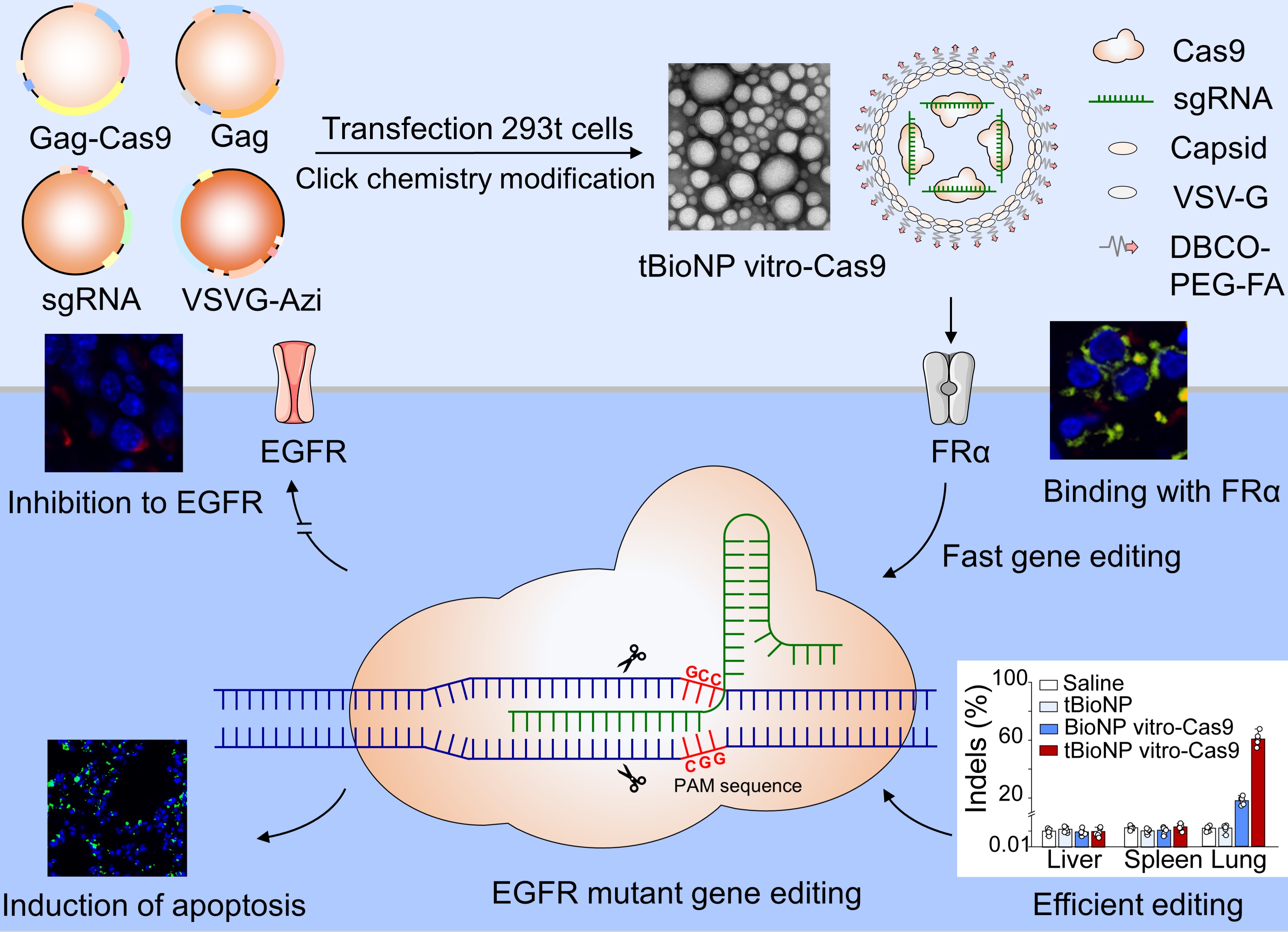17e9f0c4de6d48509837c191cf67539a.jpg 17e9f0c4de6d48509837c191cf67539a.jpg